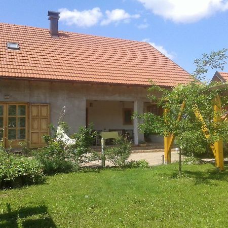 Latin Hotel Plaski Luaran gambar