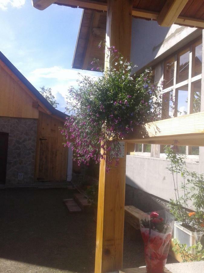 Latin Hotel Plaski Luaran gambar