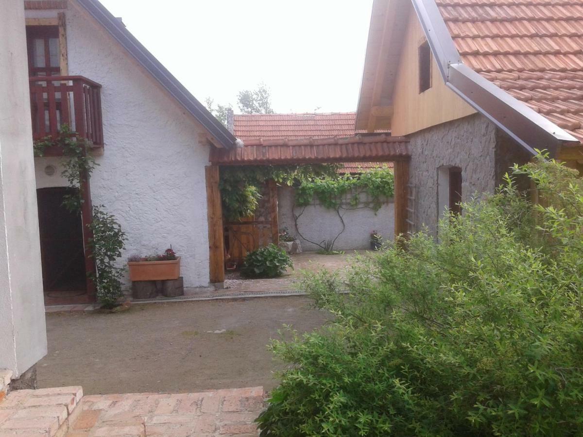 Latin Hotel Plaski Luaran gambar