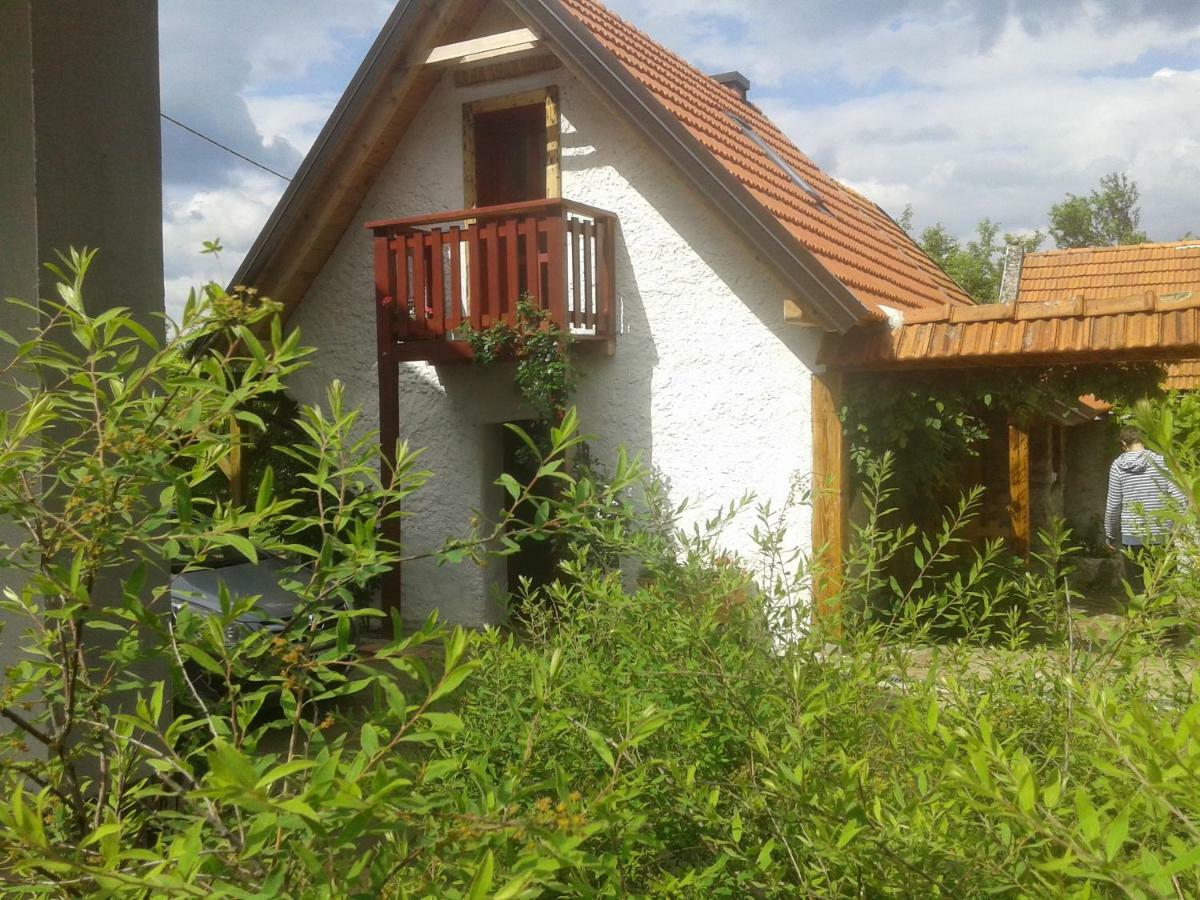 Latin Hotel Plaski Luaran gambar