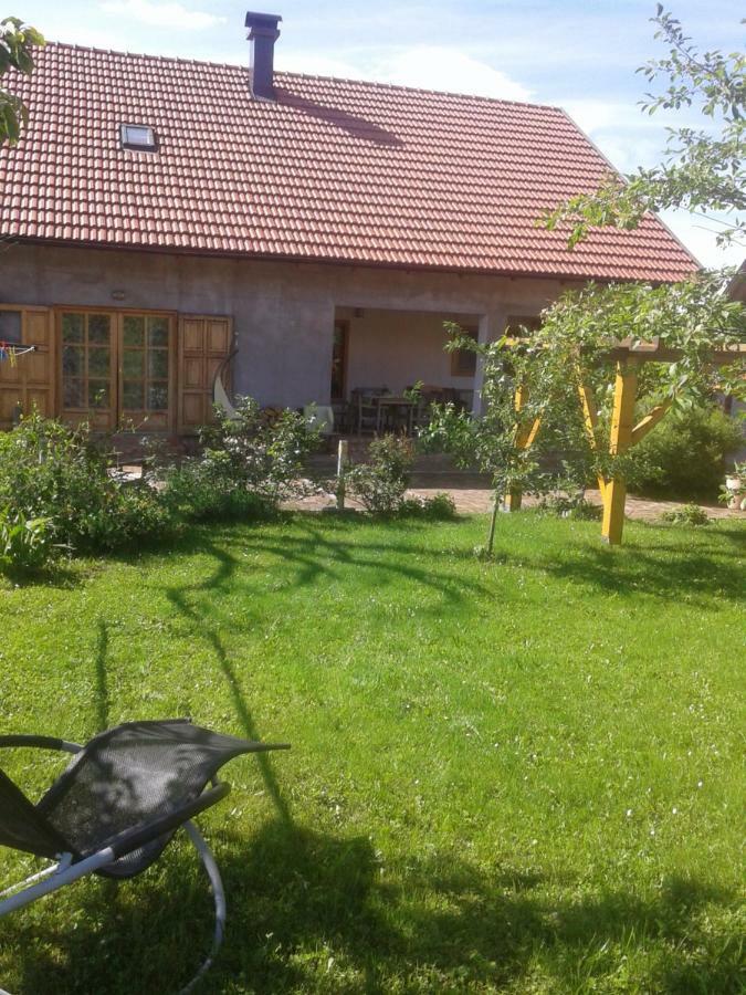 Latin Hotel Plaski Luaran gambar